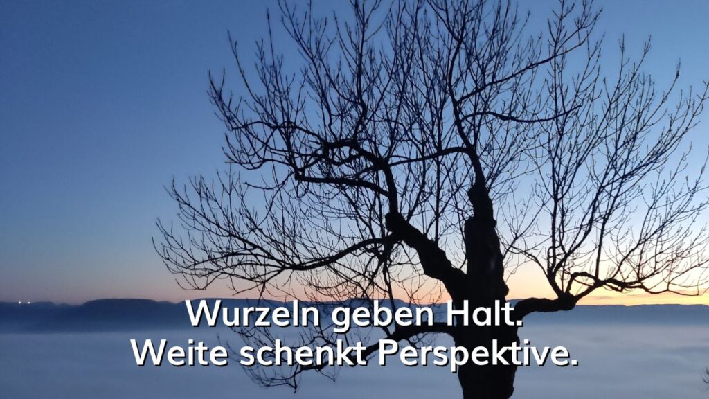 Beitrag - Wurzeln geben Halt. Weite schenkt Perspektive.